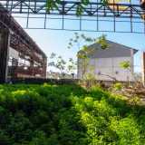 Un angolo si � poi trasformato in un vero e proprio giardino, quasi una piccola serra. Tante piccole piantine di un verde brillante, incorniciate da un basso muretto, si sono concentrate in questo spazio, l� dove probabilmente vi era una vasca ripiena di acqua